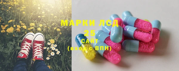 ешки Алзамай