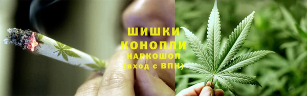 СК Няндома
