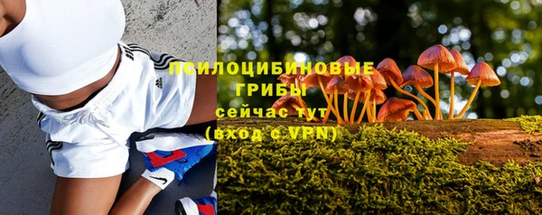 ешки Алзамай
