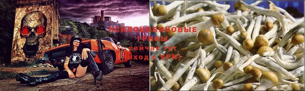 ешки Алзамай