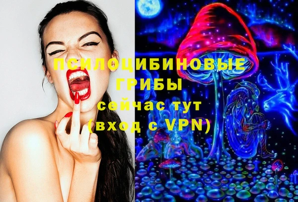 МДПВ Алексин
